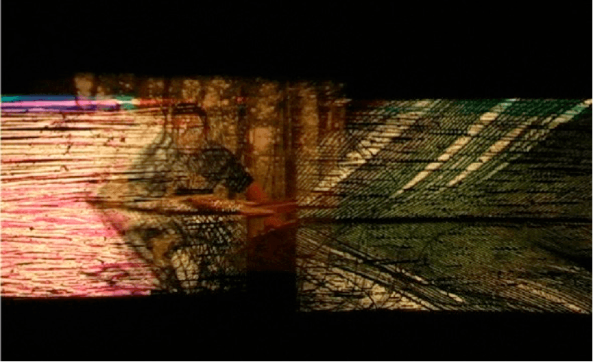 Les oiseaux des rêves